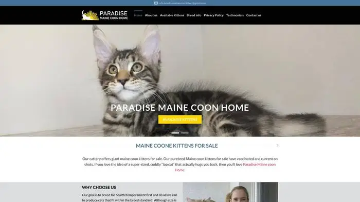 Screenshot of