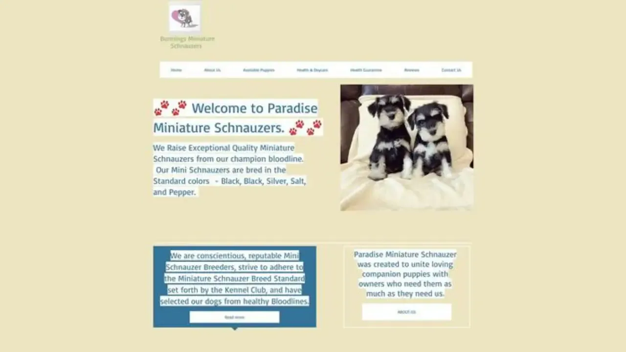 Screenshot of||