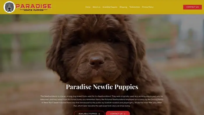 Screenshot of