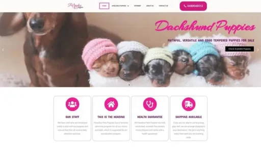 Screenshot of
