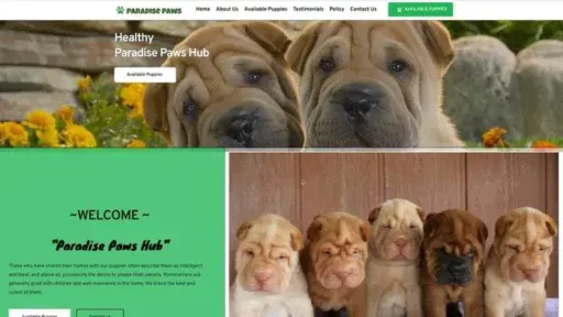 Screenshot of