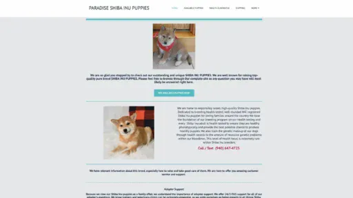 Screenshot of
