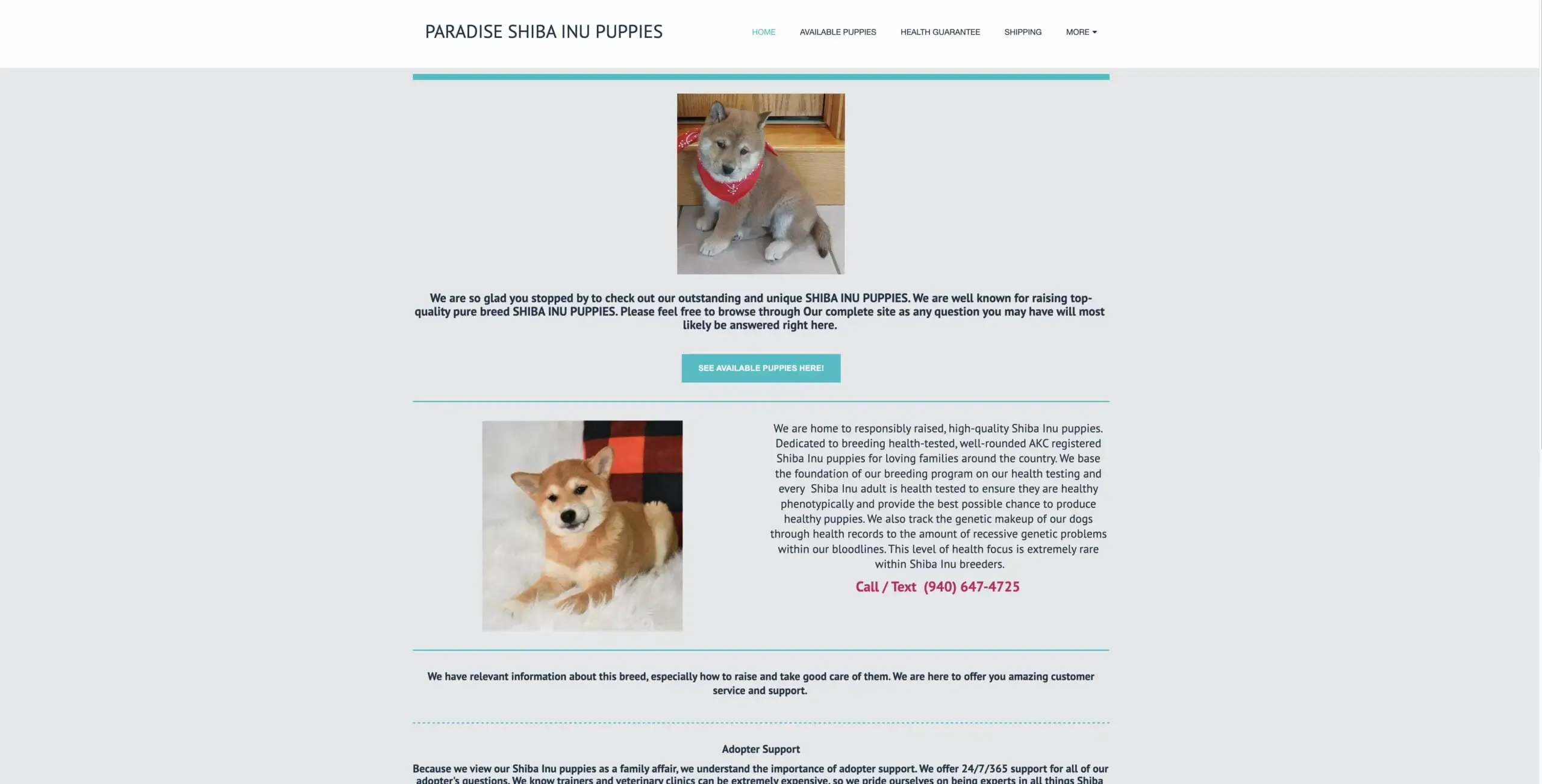 Screenshot of