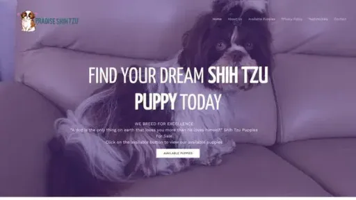 Screenshot of