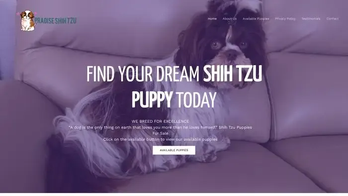 Screenshot of