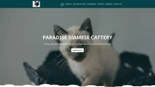Screenshot of