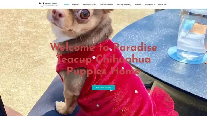Screenshot of