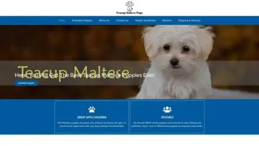 Screenshot of