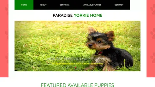 Screenshot of|