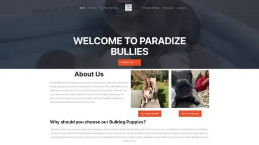 Screenshot of