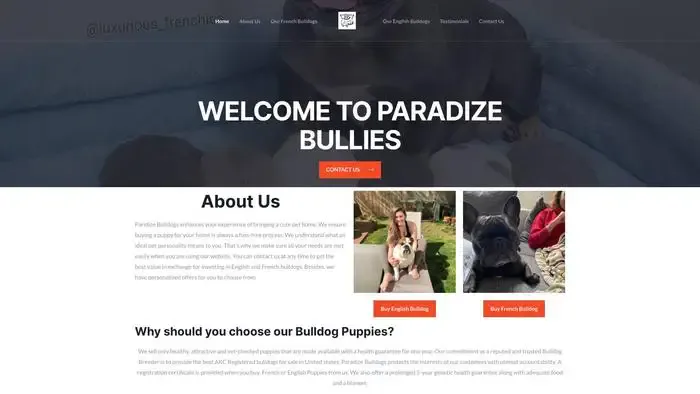 Screenshot of