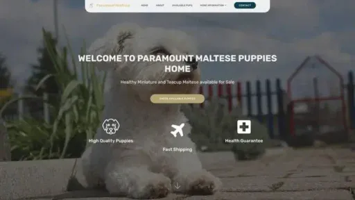 Screenshot of