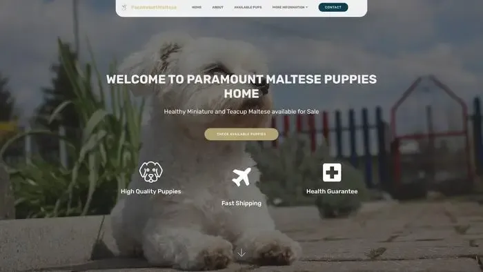 Screenshot of