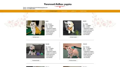 Screenshot of