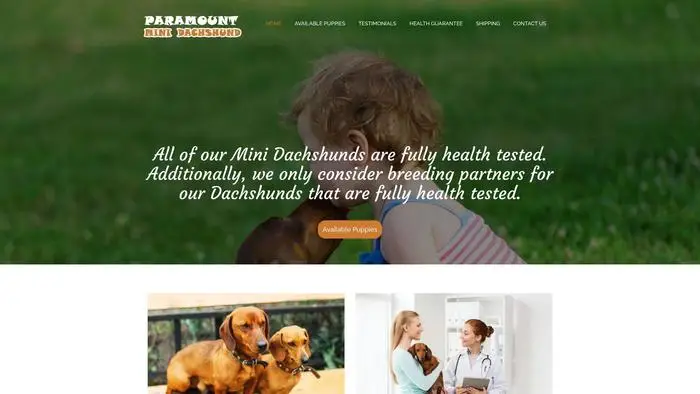 Screenshot of