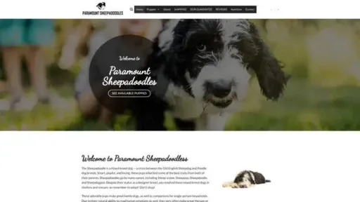 Screenshot of