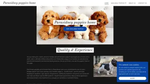 Screenshot of