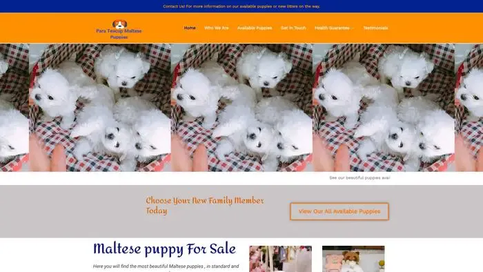Screenshot of