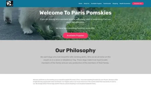 Screenshot of