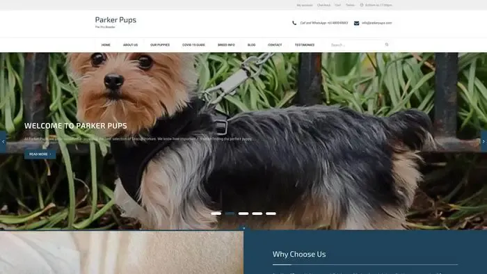 Screenshot of