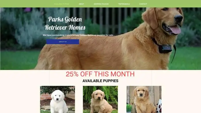 Screenshot of
