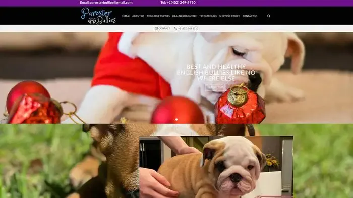 Screenshot of