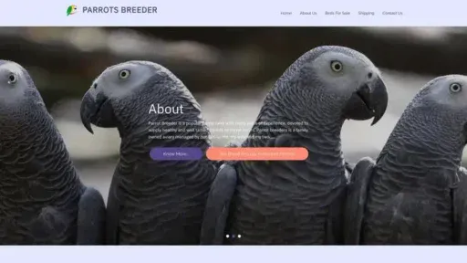 Screenshot of
