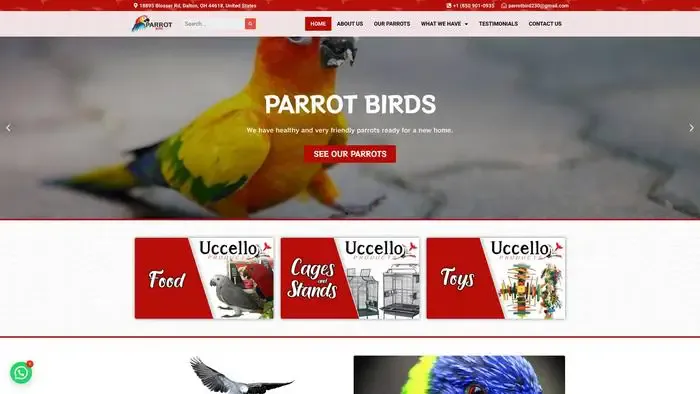 Screenshot of