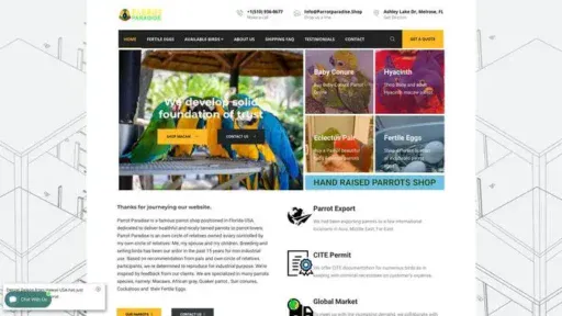Screenshot of|