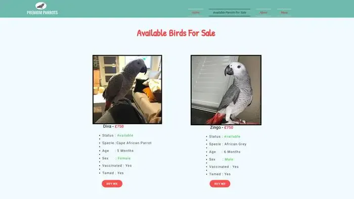 Screenshot of
