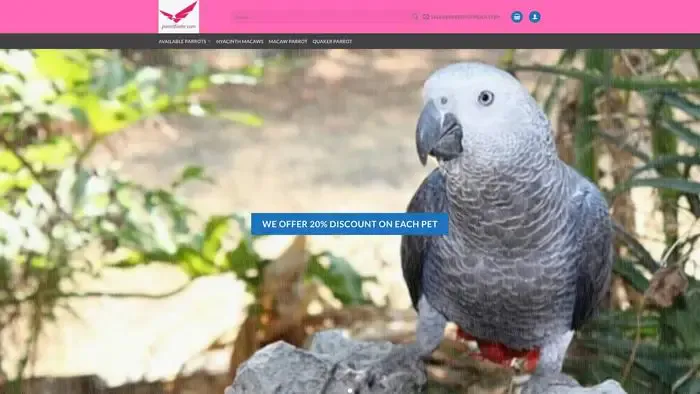 Screenshot of
