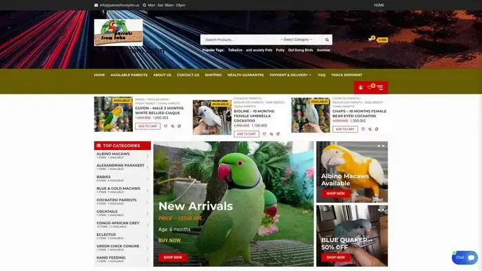 Screenshot of