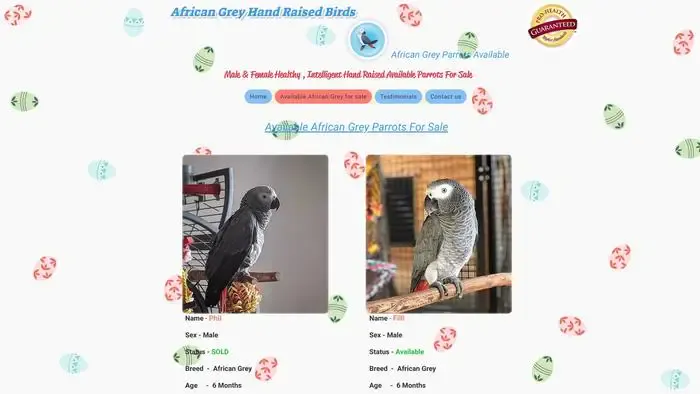 Screenshot of