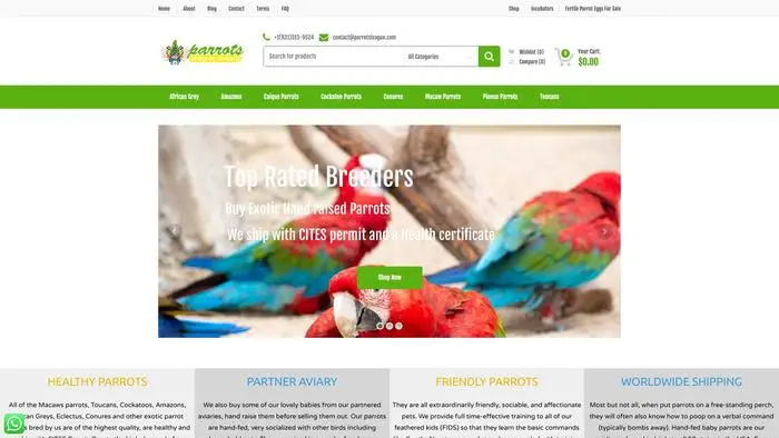 Screenshot of