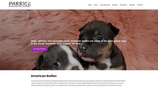 Screenshot of