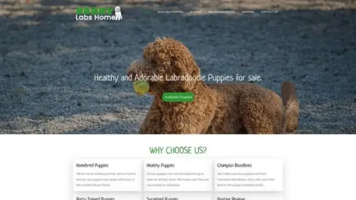 Screenshot of