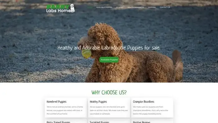 Screenshot of