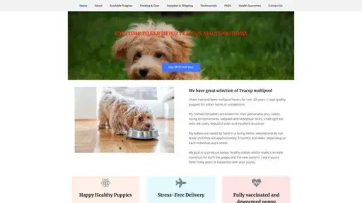 Screenshot of