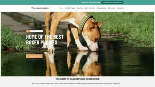 Screenshot of||