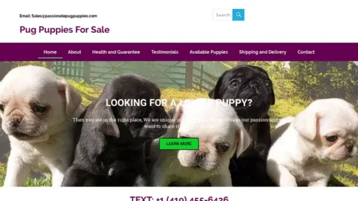 Screenshot of|