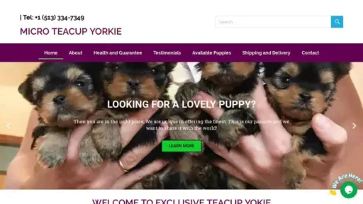 Screenshot of|