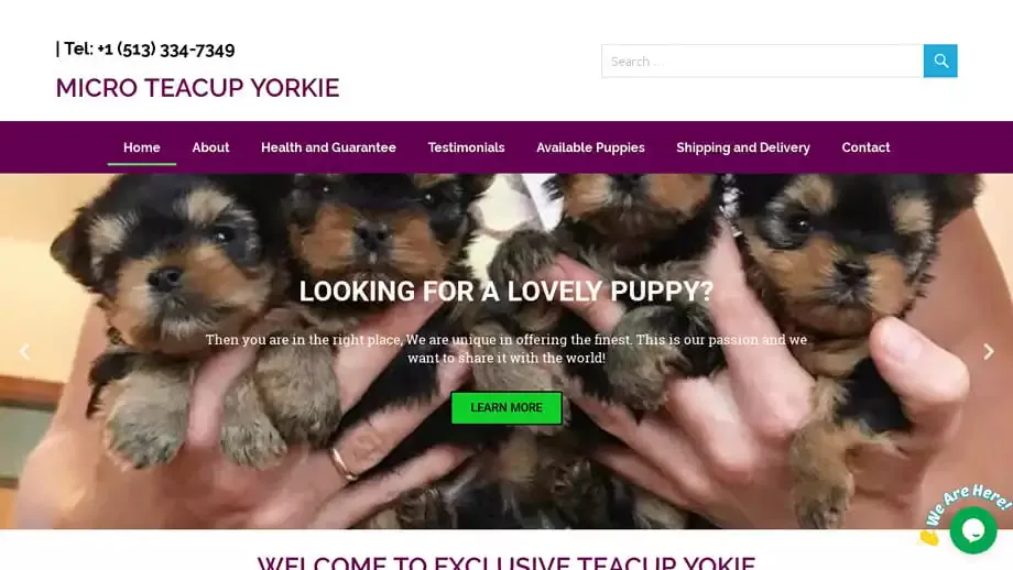 Screenshot of|
