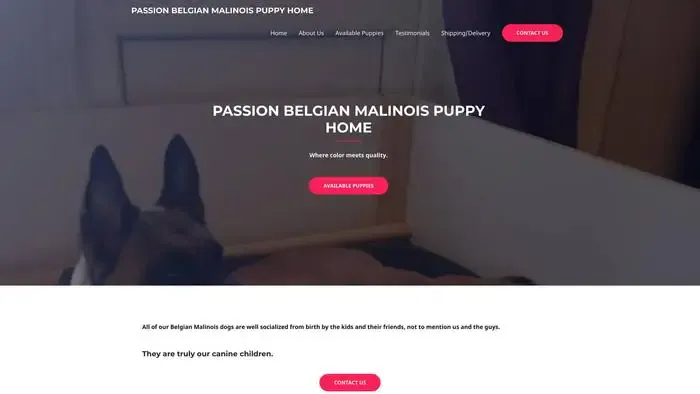 Screenshot of