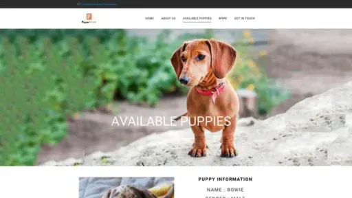 Screenshot of