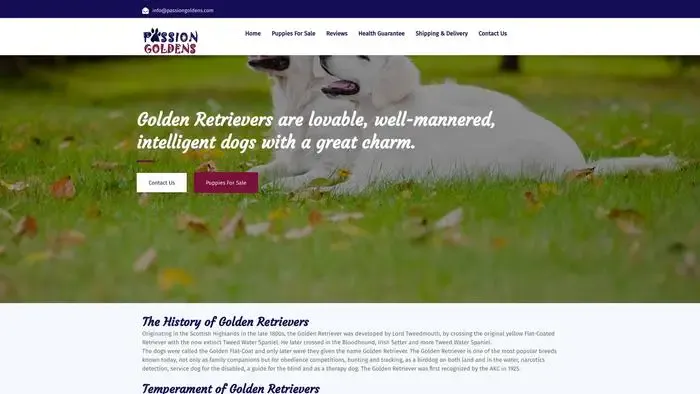 Screenshot of