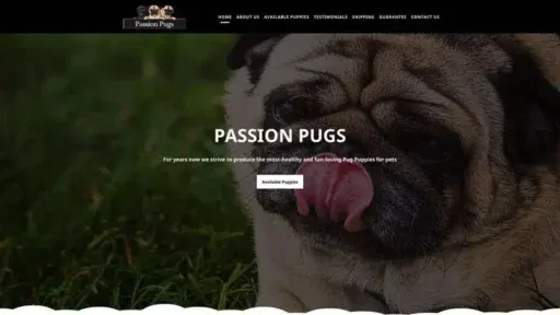 Screenshot of