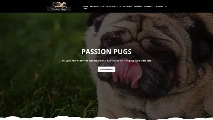 Screenshot of