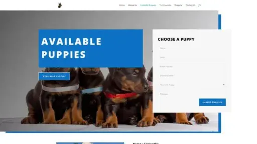Screenshot of