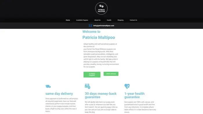 Screenshot of