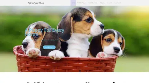 Screenshot of